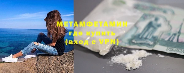 ПСИЛОЦИБИНОВЫЕ ГРИБЫ Богданович