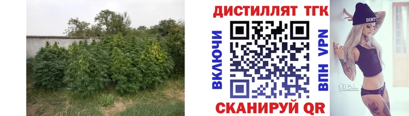 Купить  Алупка  Дистиллят ТГК Wax 