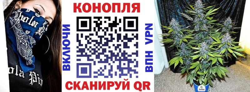 Купить  Алупка  Бошки Шишки VHQ 